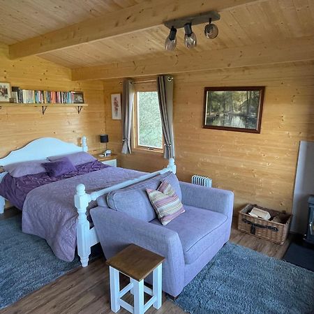 Cosy Cabin In Annie'S Meadow West Meon Екстер'єр фото