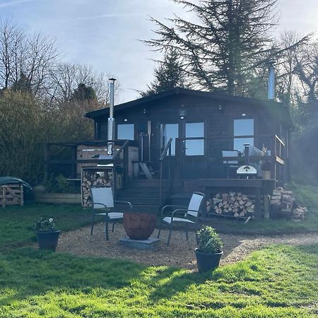 Cosy Cabin In Annie'S Meadow West Meon Екстер'єр фото