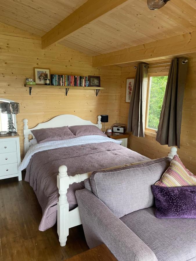 Cosy Cabin In Annie'S Meadow West Meon Екстер'єр фото