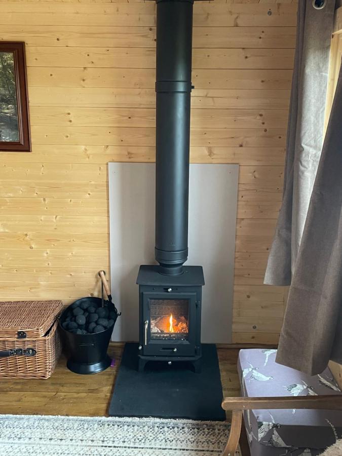 Cosy Cabin In Annie'S Meadow West Meon Екстер'єр фото